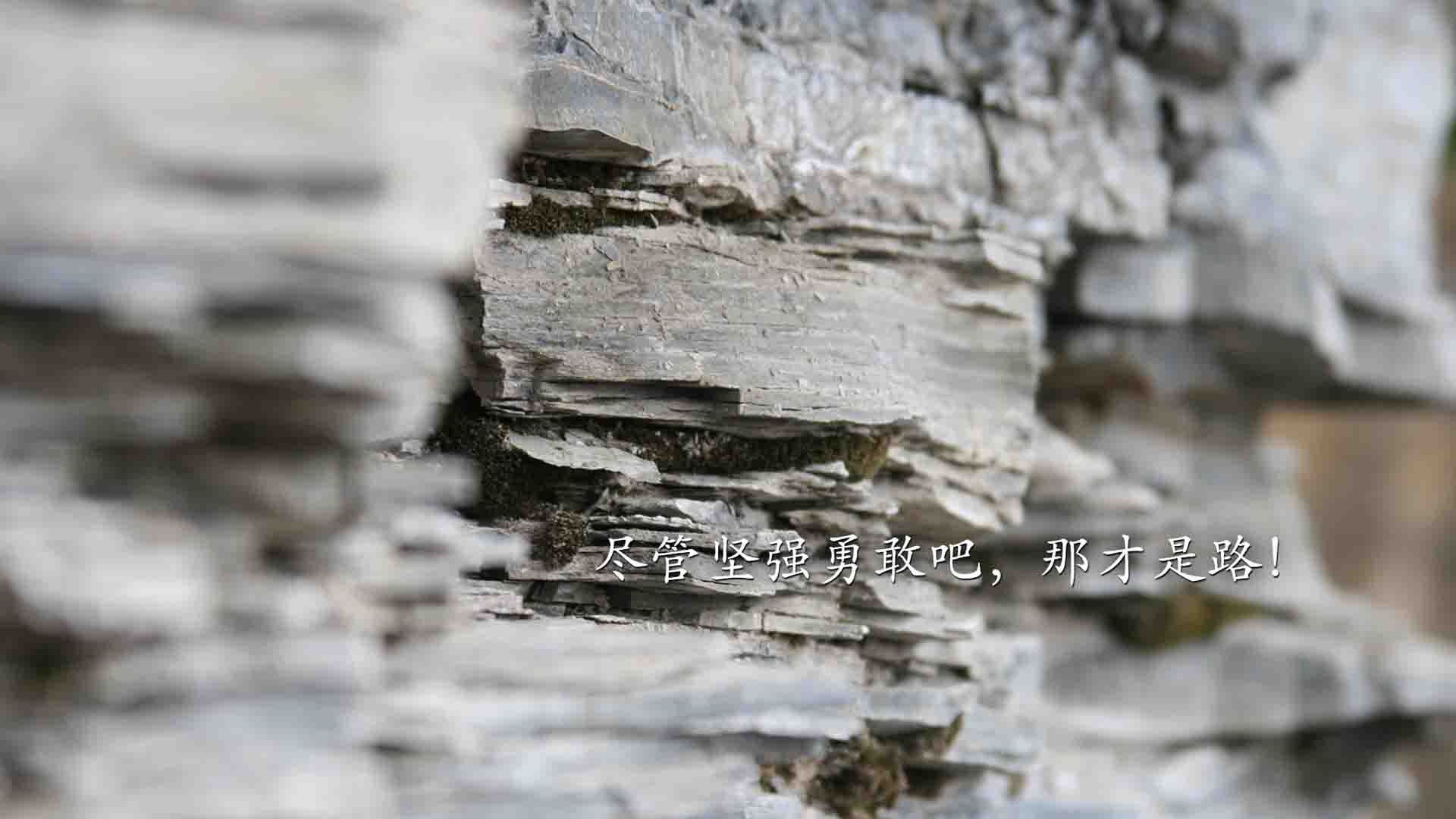 开云体育app-轰鸣与心跳的交响曲，当F1揭幕战之夜遇上哈利伯顿的眼神杀