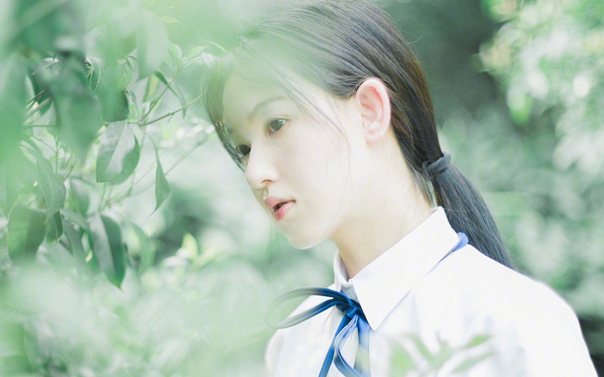 绿茵与硬木的对话,欧冠淘汰赛夜上演篮球传奇