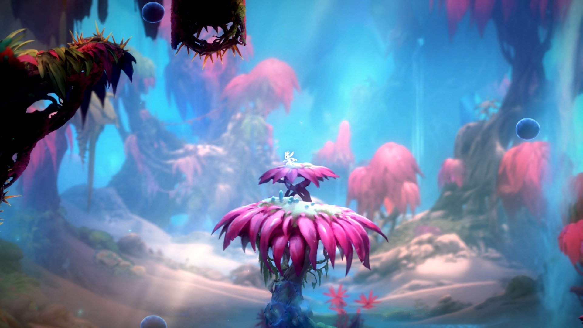 开云体育APP下载-拒绝嘘声！伦纳德33分率太阳险胜奇才，用实力打破所有质疑