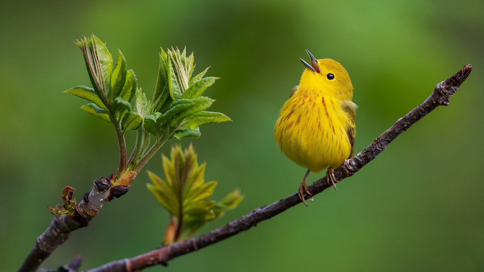 开云体育-绿茵密码，阿什拉夫的轨道冲刺与争冠方程式