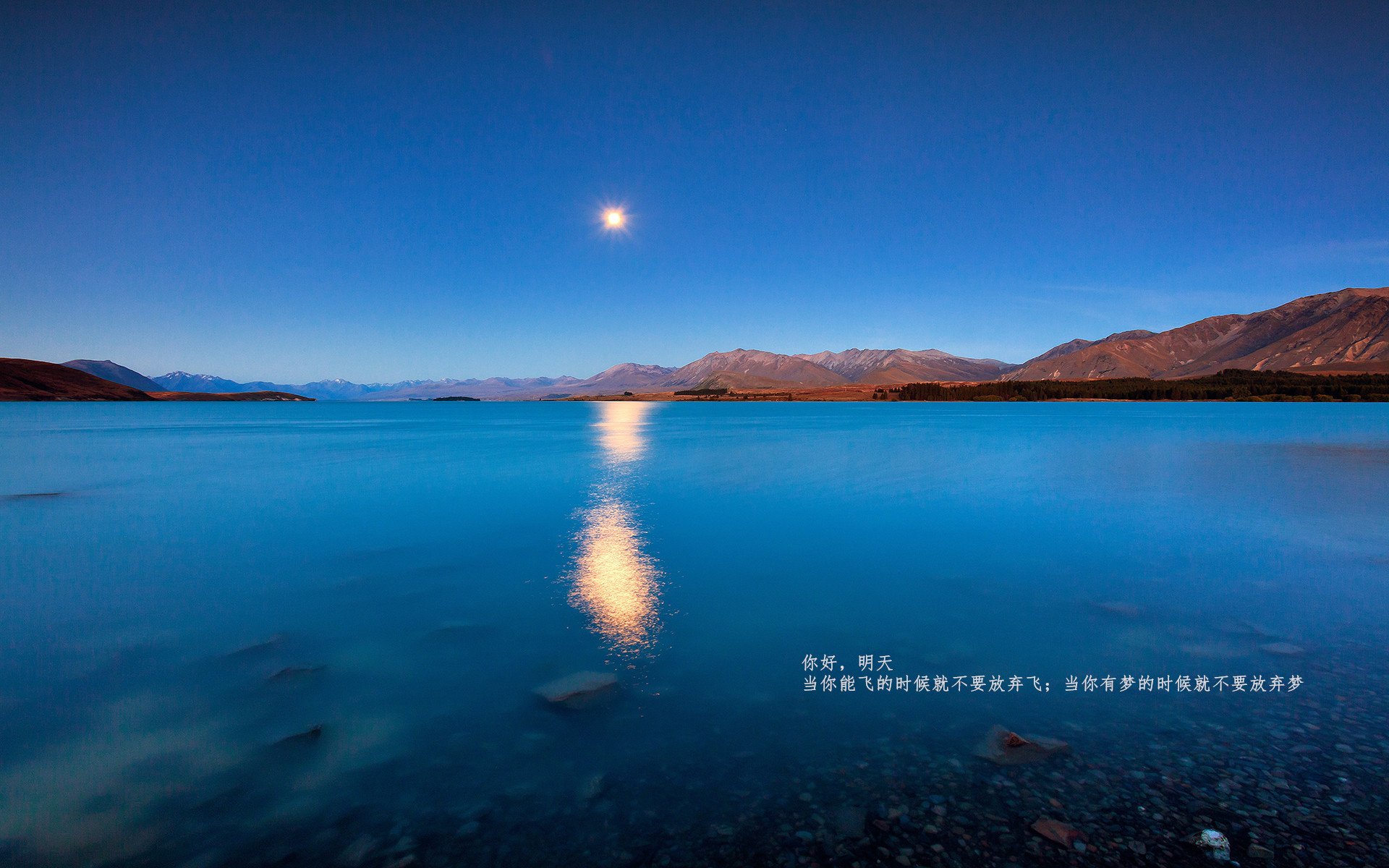 逆流成河，当佛被圭碾压，巴斯托尼扛起整片天空