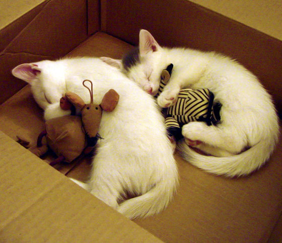 开云体育入口-格列兹曼一战封神，英格兰则于惊涛骇浪中险胜波兰