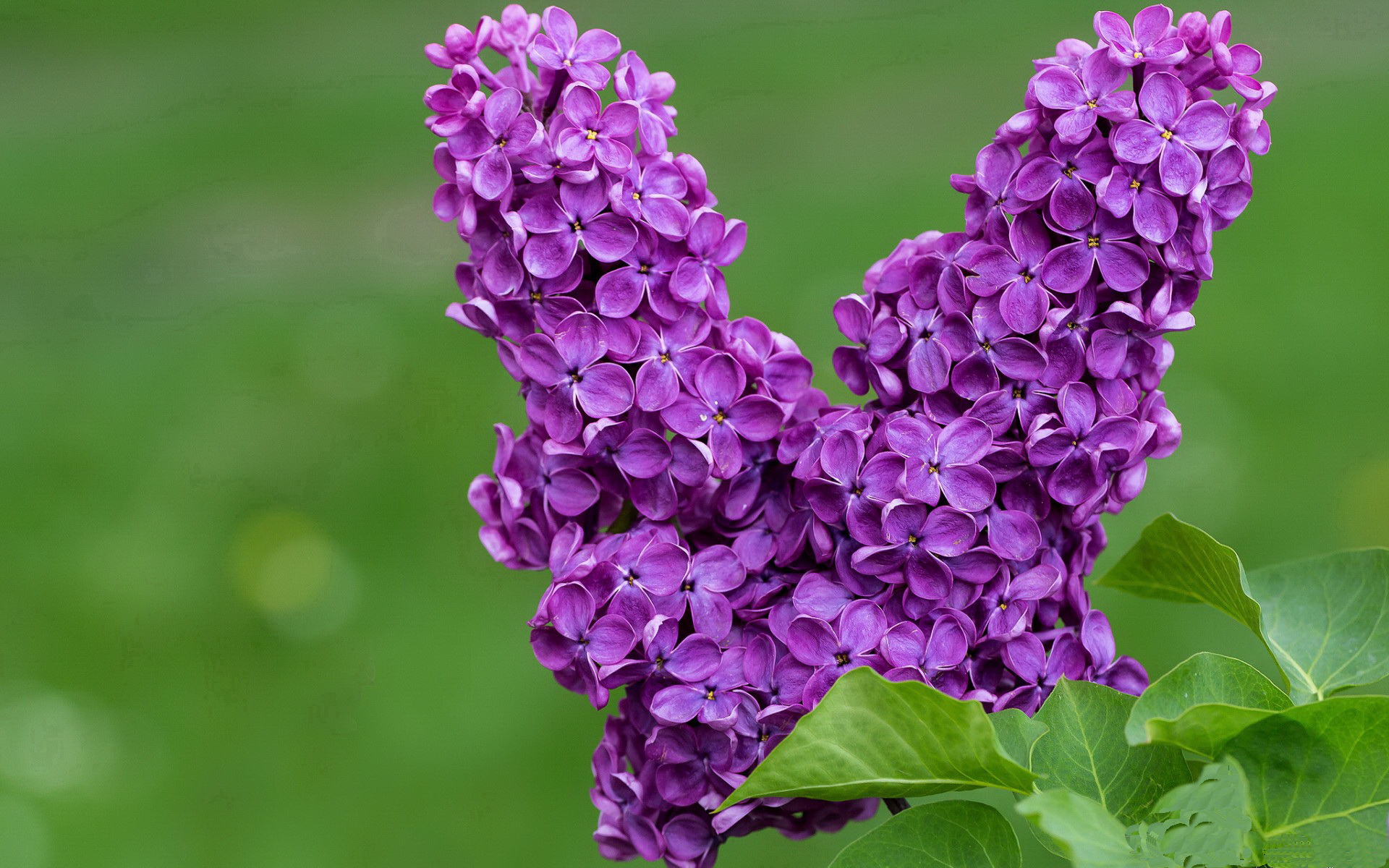 荣耀之路，绝杀与证明的双重奏
