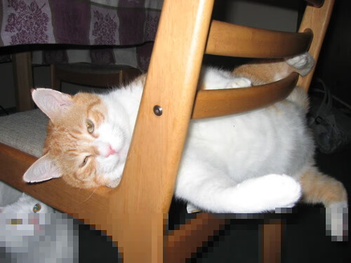 当他成为关键先生,却在南非的狂风骤雨中学会输球,贝林厄姆的另类成人礼