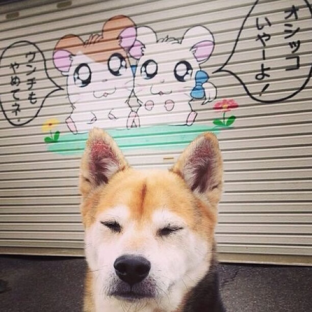 总决赛的隐身人,戈贝尔用30+20的恐怖数据让全世界闭嘴