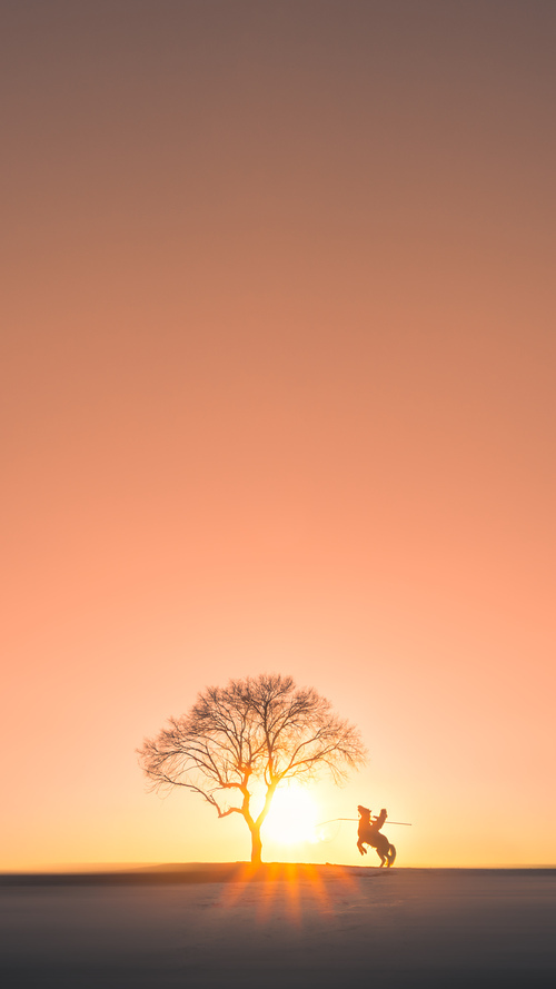 当药厂基因注入国家德比,布雷默的爆发与勒沃库森式的一波流带走荷兰