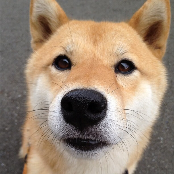 开云体育在线-李刚仁关键先生闪耀，德国血拼几内亚取胜