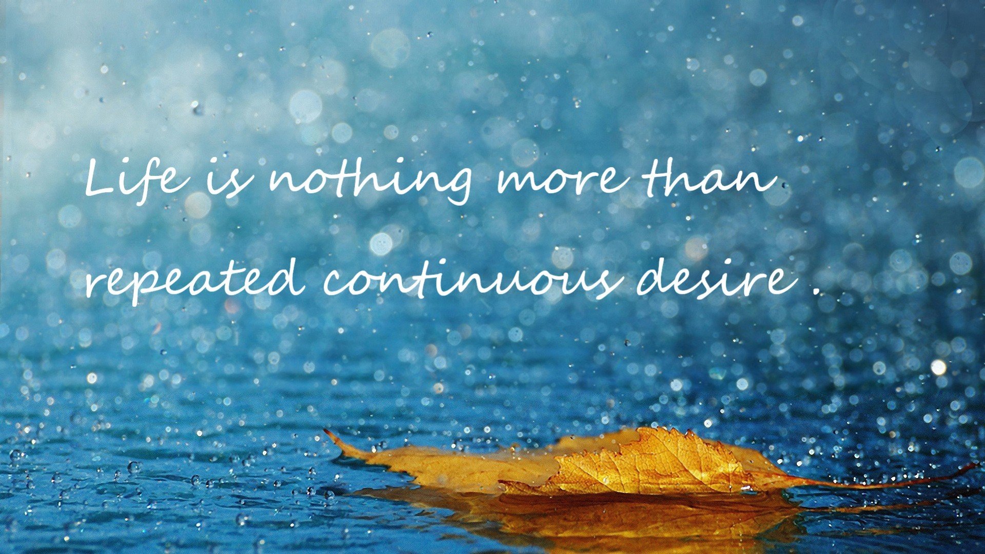 开云体育中国-英雄双刃，小贾伦·杰克逊的绝杀与救赎，灰熊加时逆袭篮网启示录