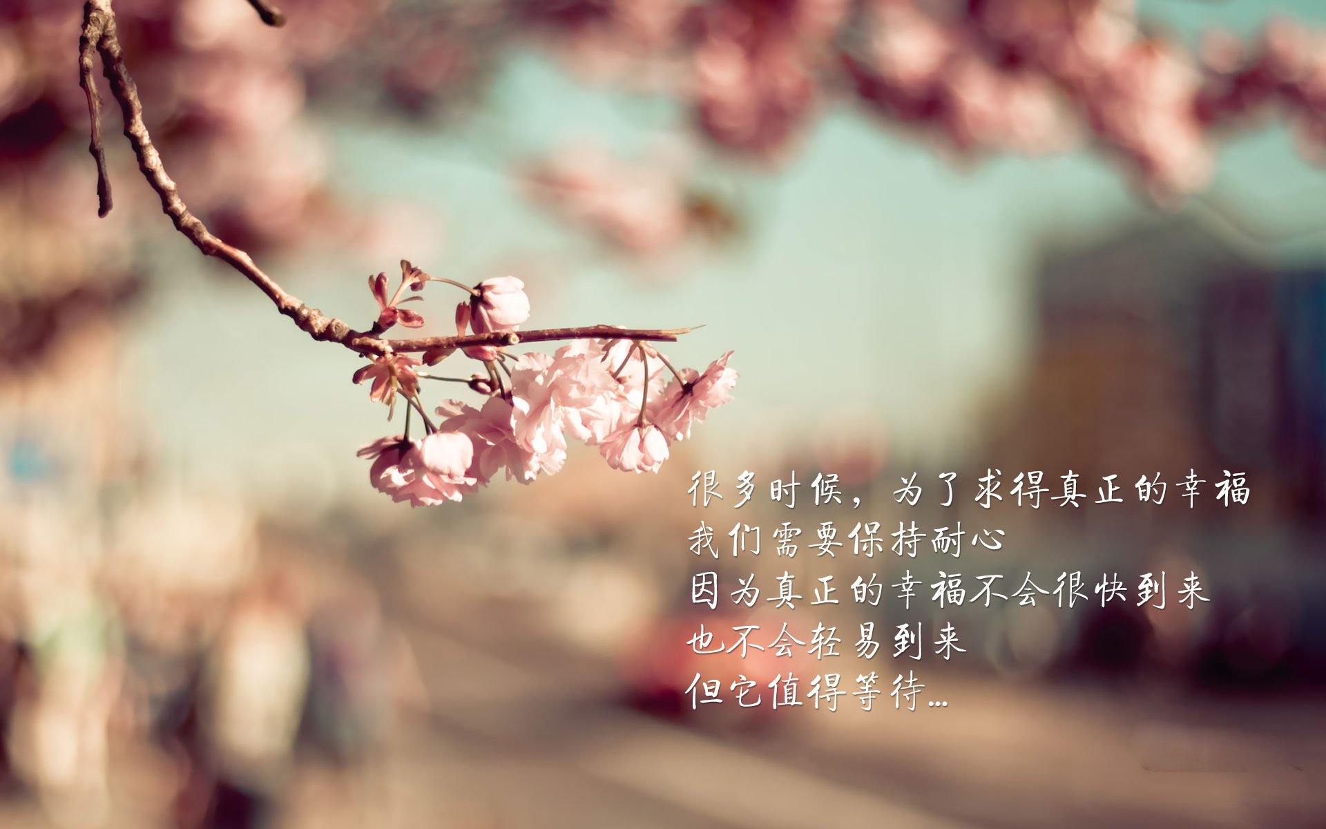 冰与火的唯一解，当碾压遇见神迹，布罗佐维奇在G组生死战中刺穿北欧寂静