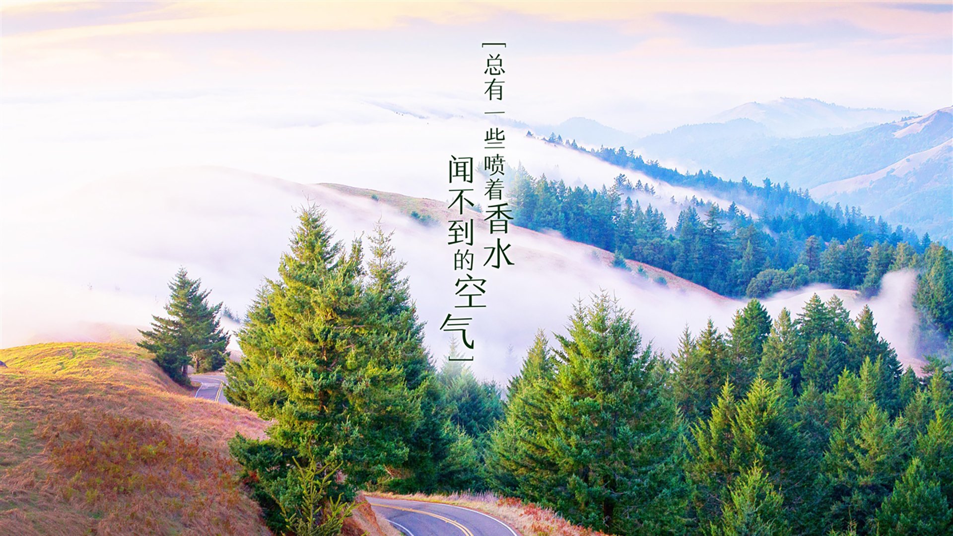 众神黄昏的血色残阳，2026，当梅西的智慧在葡萄牙身上开出逆转之花