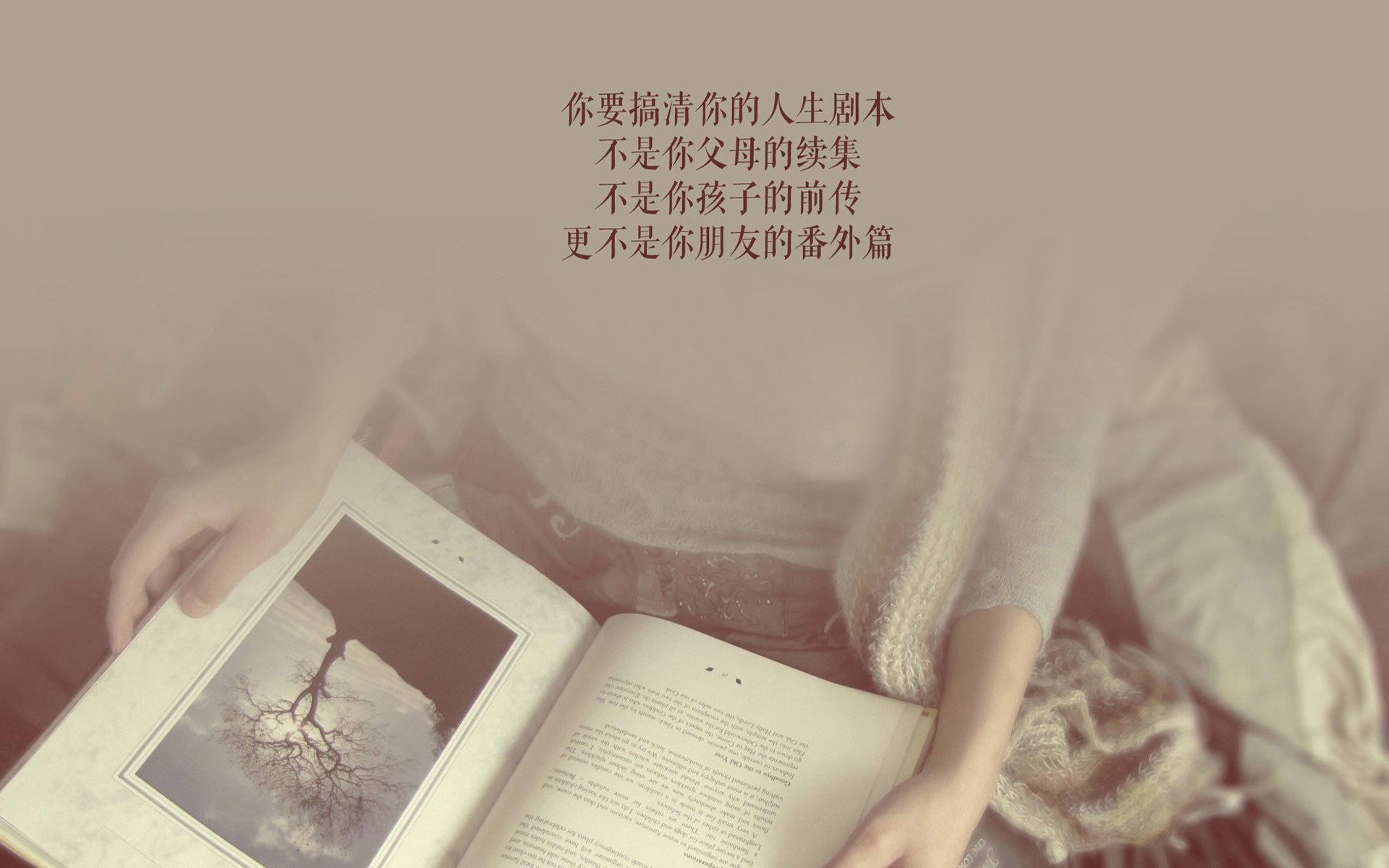 太极虎之殇,欧洲红魔的险中求生,维尼修斯如何在2026年H组焦点战中,用一剑封喉定义超级巨星
