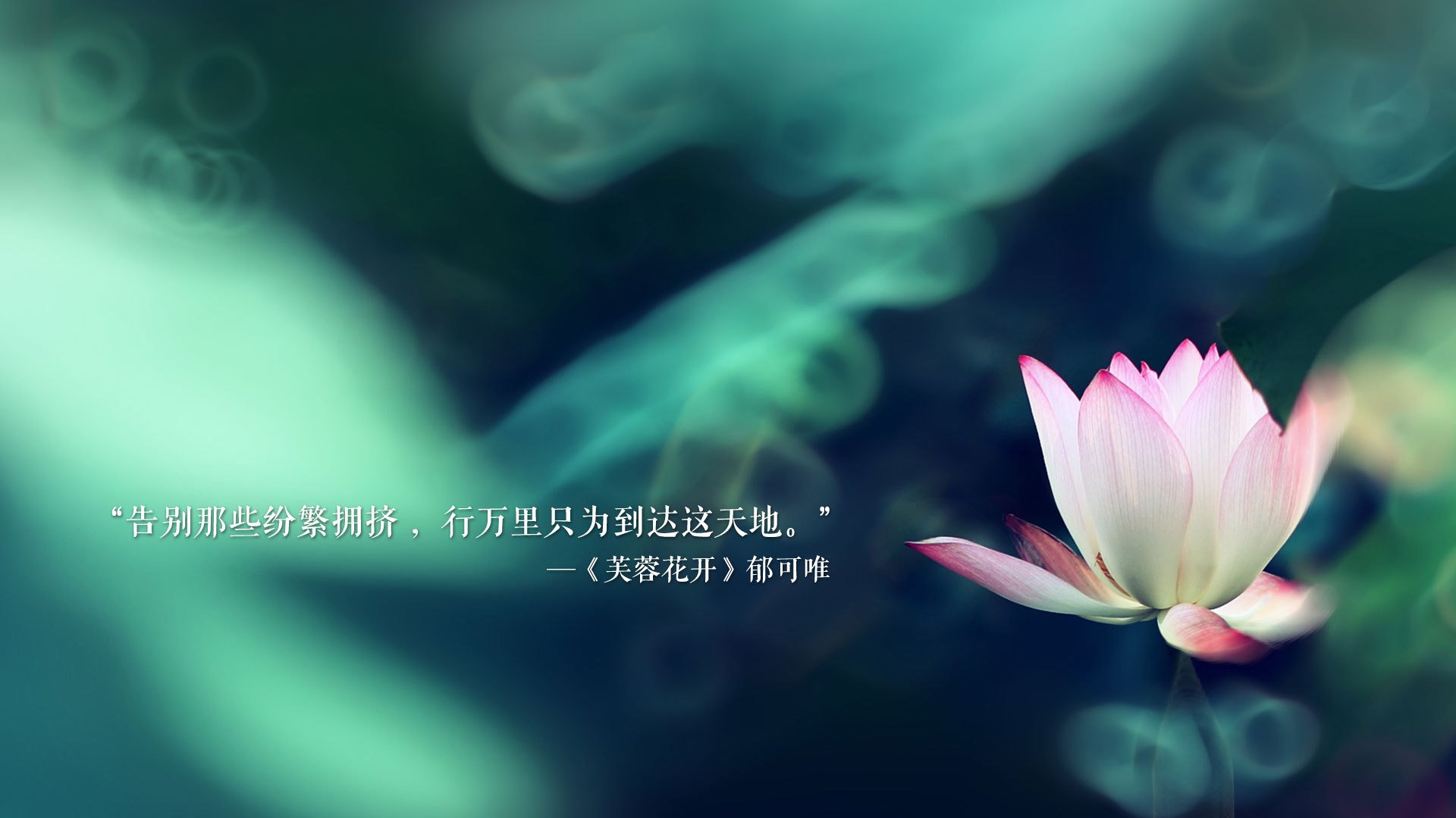 沙漠之盾扼杀黄金之翼，德布劳内神丁下凡，伊拉克反足球战术颠覆葡萄牙豪门盛宴